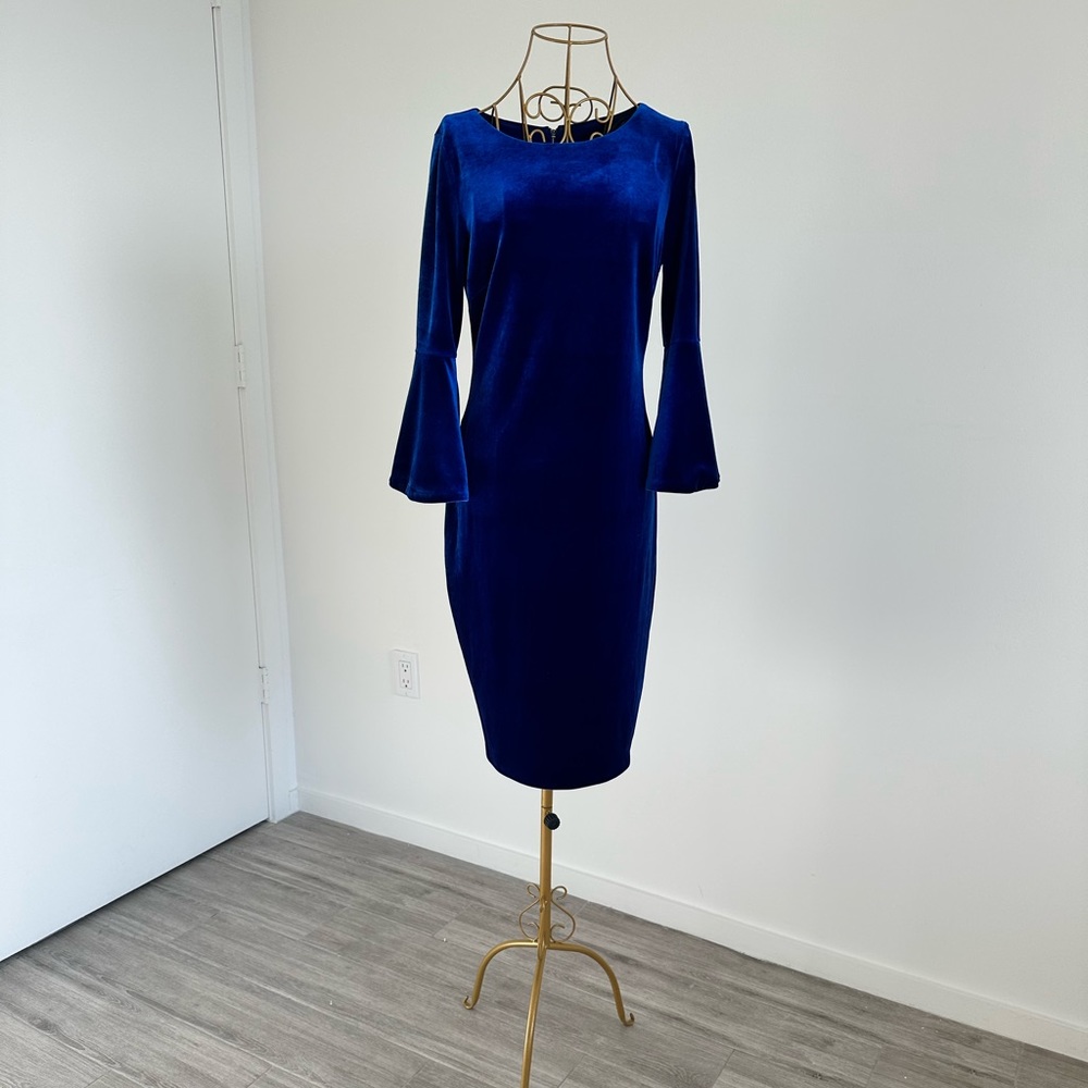 Beautiful Velvet Dress